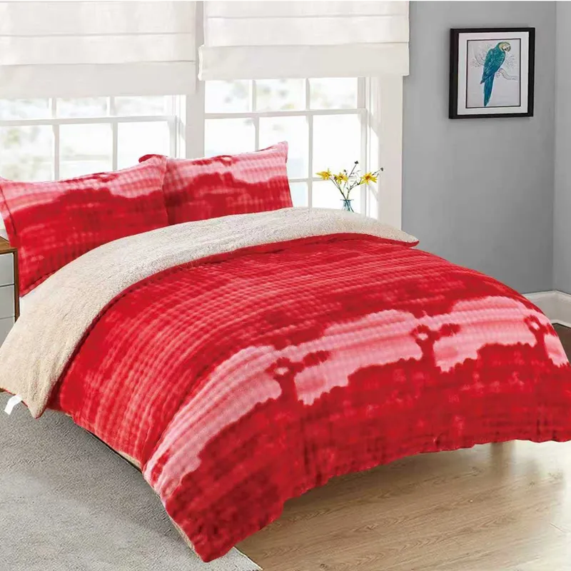 Pilota Cocolino cu Blanita, 200x230cm + 2 Fete de Perna 50x70cm, Rosu Degrade - PMG_N017C