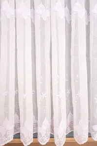 Alb